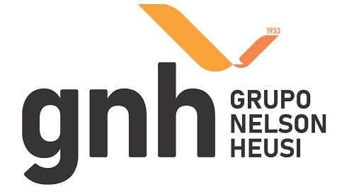 grupo-nelson-heusi