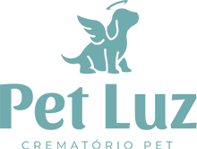 pet-luz